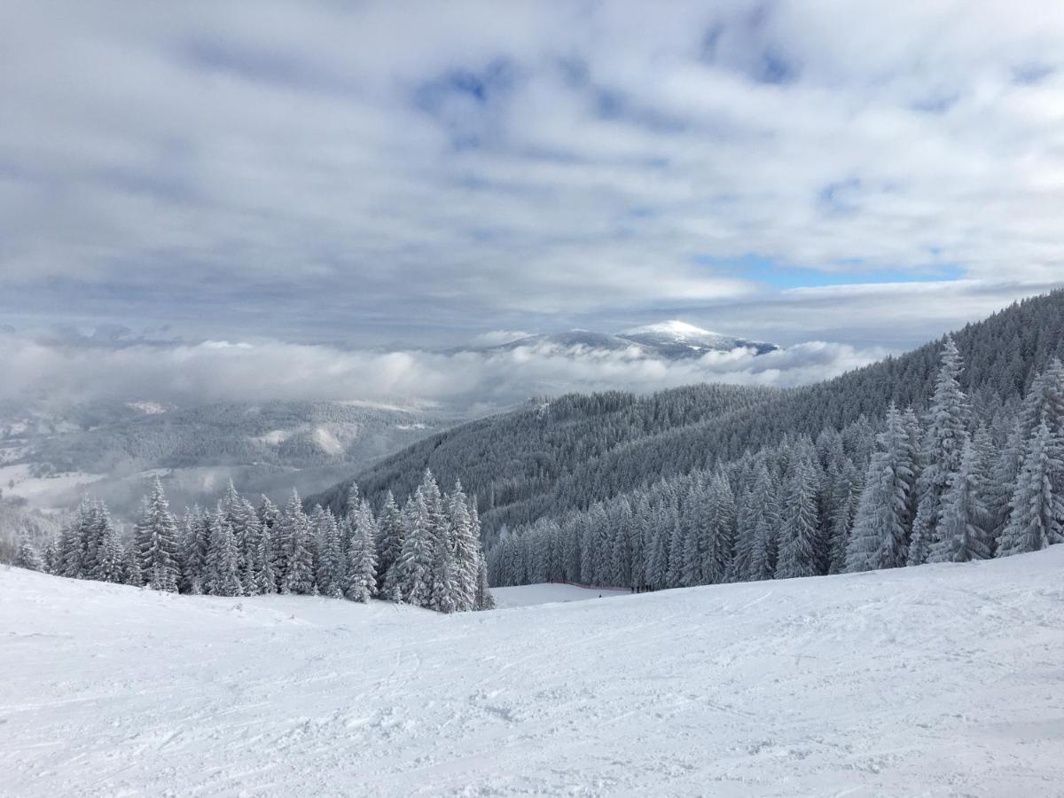 Cerla Korbielow - Domek Dla Dwojga Bagian luar foto